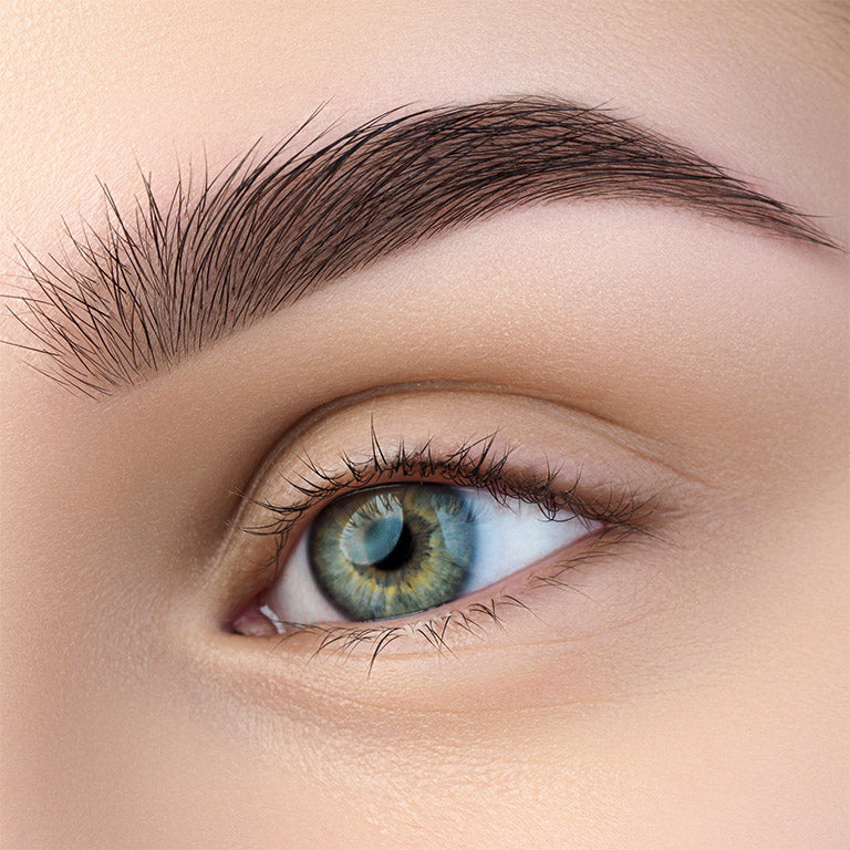 Beautiful eyebrows hotsell